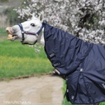 Капор MIU Equestrian Sport Line Rain WW 0, на хлопковом подкладе